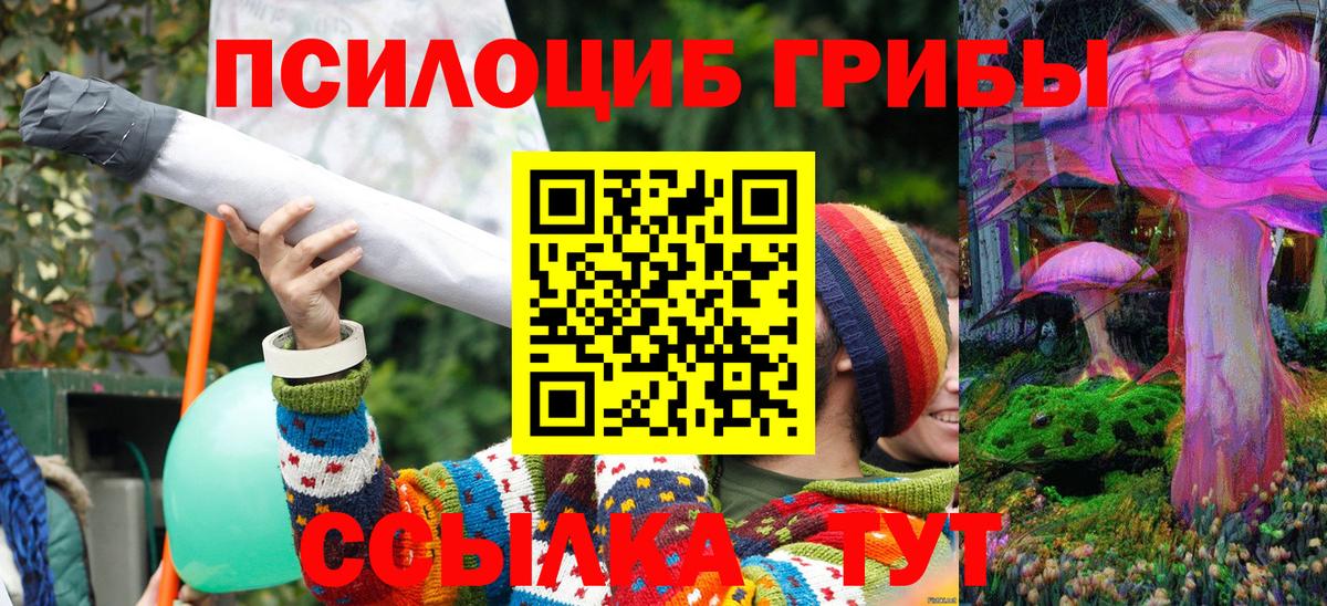 где можно купить наркотик  Псилоцибиновые грибы мухоморы  Вход с VPN  Югорск 