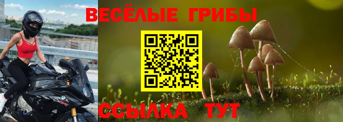 Галлюциногенные грибы мицелий Югорск